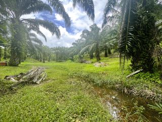 出售 土地 在 Mueang Krabi, Krabi