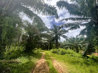 出售 土地 在 Mueang Krabi, Krabi