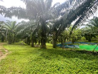 出售 土地 在 Mueang Krabi, Krabi