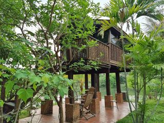 For sale 3 Beds house in Doi Lo, Chiang Mai
