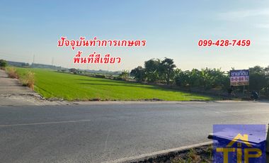 Продажа Участок в Bang Bua Thong, Нонтабури