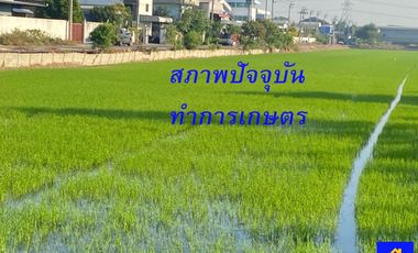 Продажа Участок в Bang Bua Thong, Нонтабури