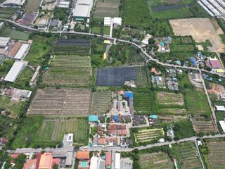 For sale land in Nong Khaem, Bangkok