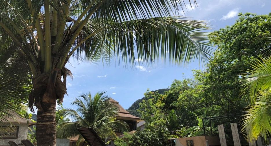 For rent and for sale 10 bed retail Space in Mueang Krabi, Krabi