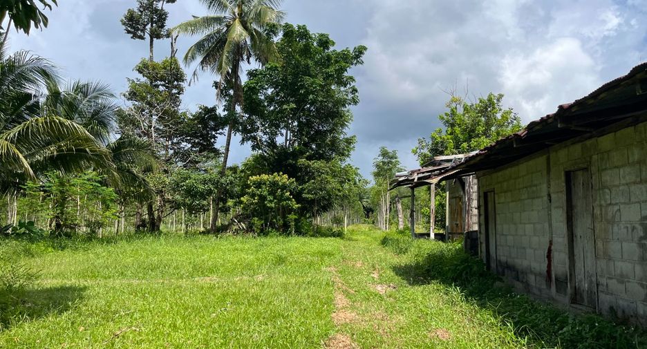 Grundstück zum Kauf in Thai Mueang, Phang Nga