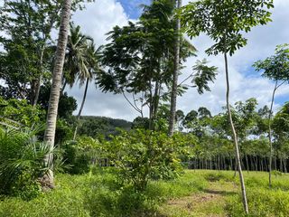 For sale land in Thai Mueang, Phang Nga