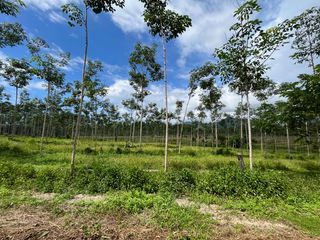 For sale land in Thai Mueang, Phang Nga