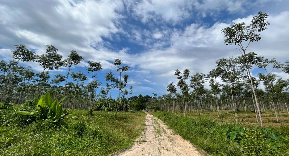 Grundstück zum Kauf in Thai Mueang, Phang Nga