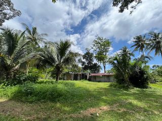 For sale land in Thai Mueang, Phang Nga
