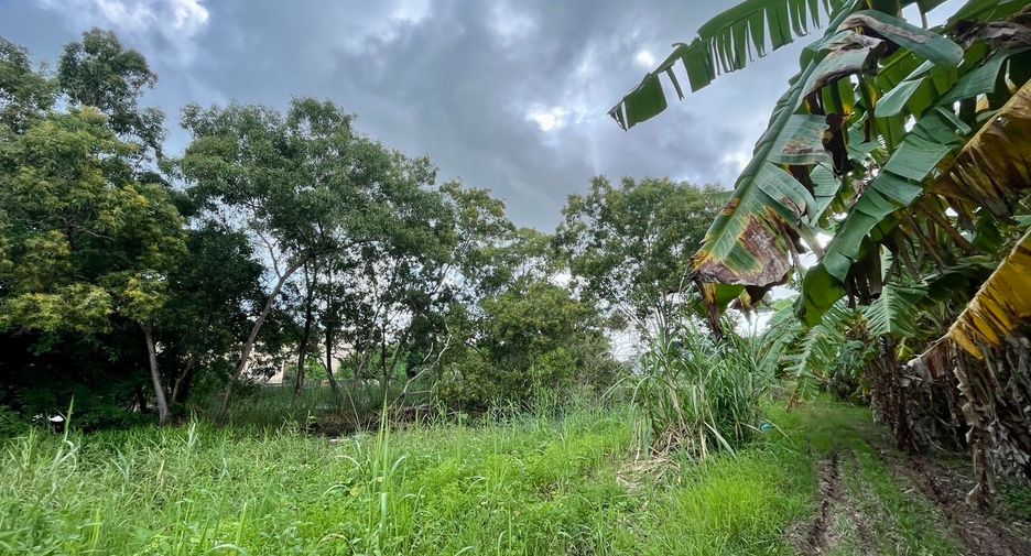 ขาย ที่ดิน ใน เมืองภูเก็ต, ภูเก็ต