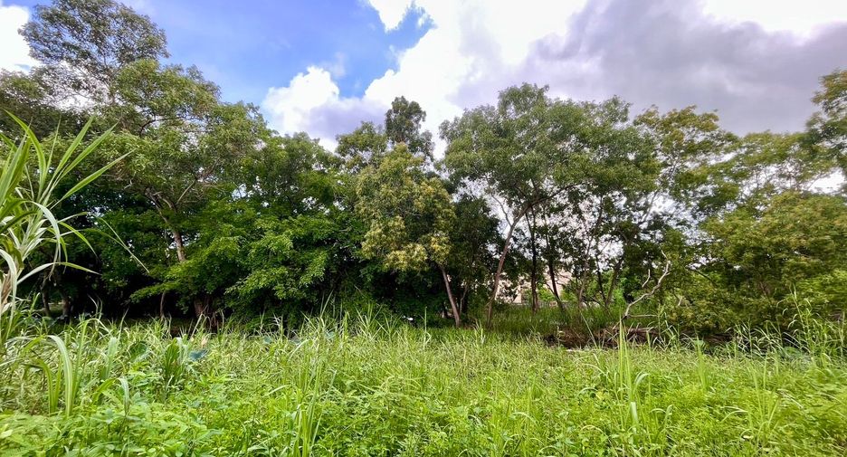 ขาย ที่ดิน ใน เมืองภูเก็ต, ภูเก็ต