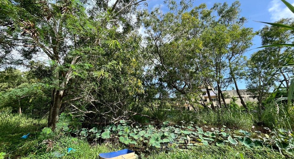ขาย ที่ดิน ใน เมืองภูเก็ต, ภูเก็ต