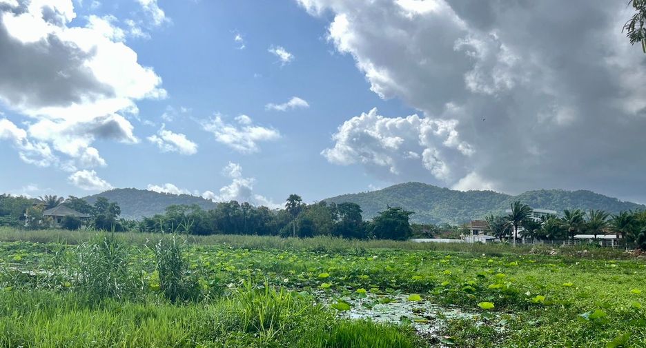 ขาย ที่ดิน ใน เมืองภูเก็ต, ภูเก็ต