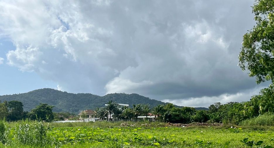 ขาย ที่ดิน ใน เมืองภูเก็ต, ภูเก็ต