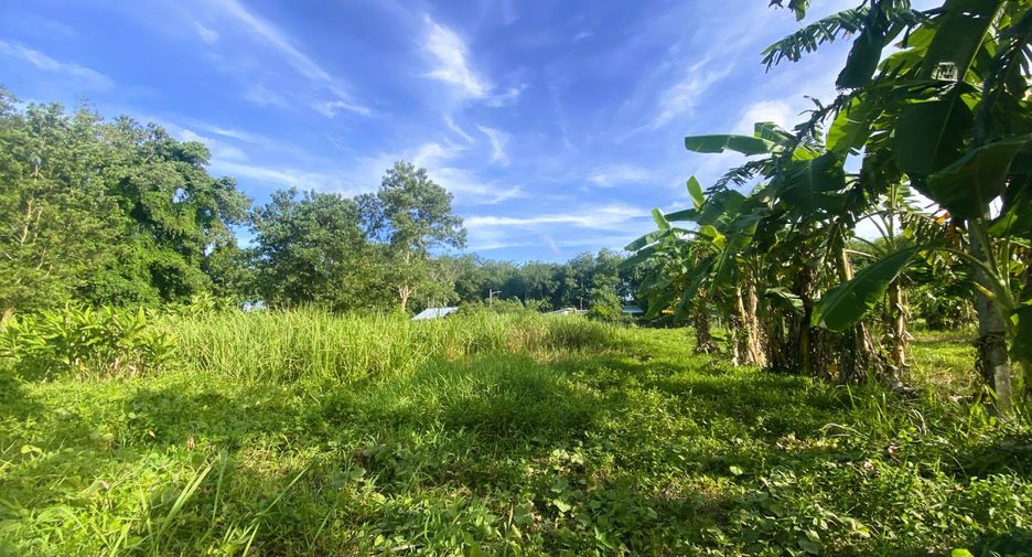 À vendre terrain à Thalang, Phuket
