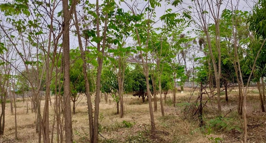 À vendre terrain à Wichian Buri, Phetchabun