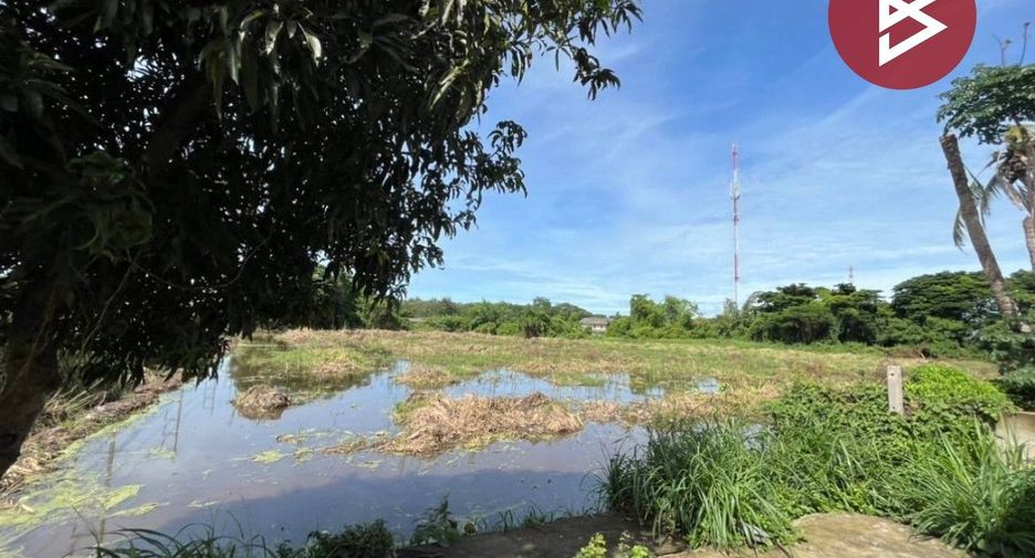 For sale land in Phrom Buri, Sing Buri
