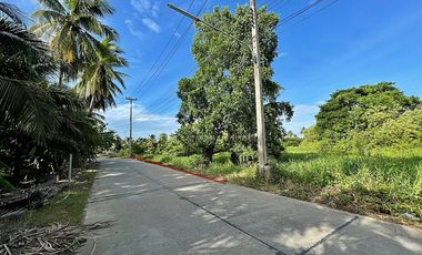 Grundstück zum Kauf in Sam Phran, Nakhon Pathom