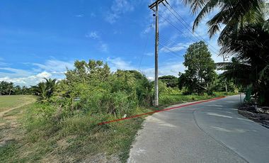 Grundstück zum Kauf in Sam Phran, Nakhon Pathom