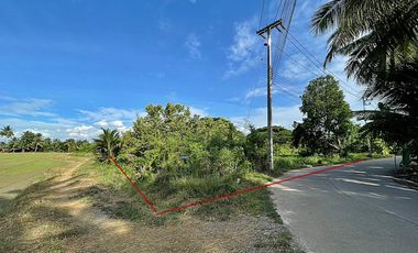 Grundstück zum Kauf in Sam Phran, Nakhon Pathom