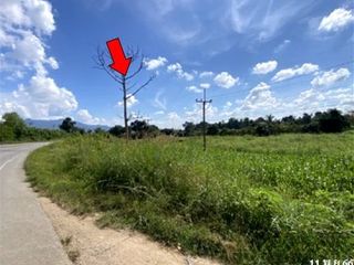 For sale land in Phaya Mengrai, Chiang Rai