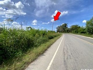 For sale land in Phaya Mengrai, Chiang Rai