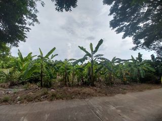 Grundstück zum Kauf in Mueang Nakhon Sawan, Nakhon Sawan