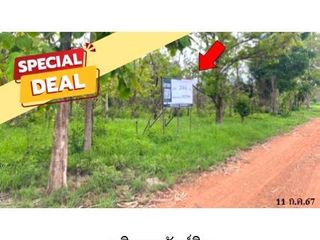 Продажа Участок в Noen Kham, Chai Nat