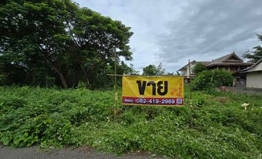 À vendre terrain à Saraphi, Chiang Mai