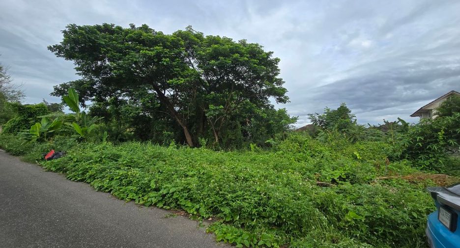 For sale land in Saraphi, Chiang Mai