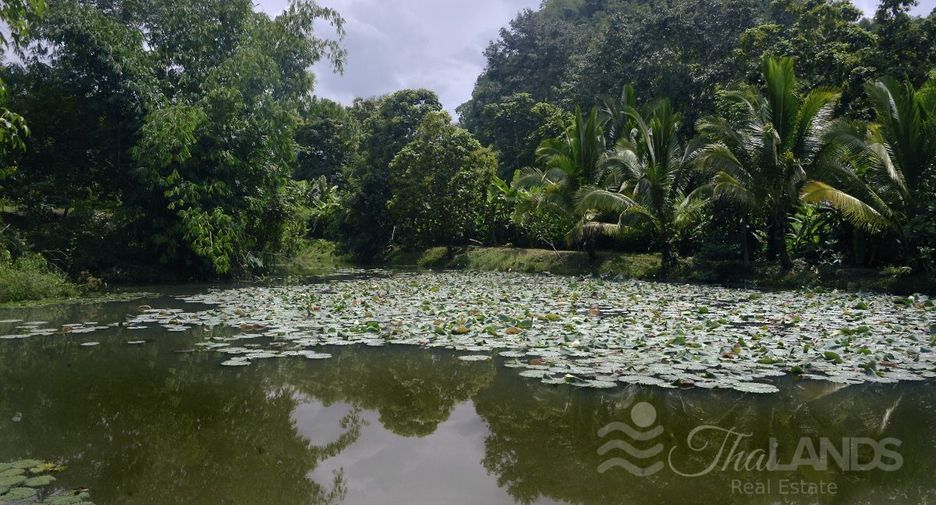 Продажа Участок в Thong Pha Phum, Канчанабури