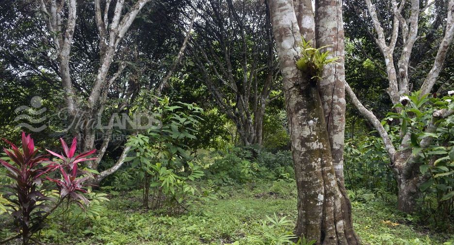 Продажа Участок в Thong Pha Phum, Канчанабури