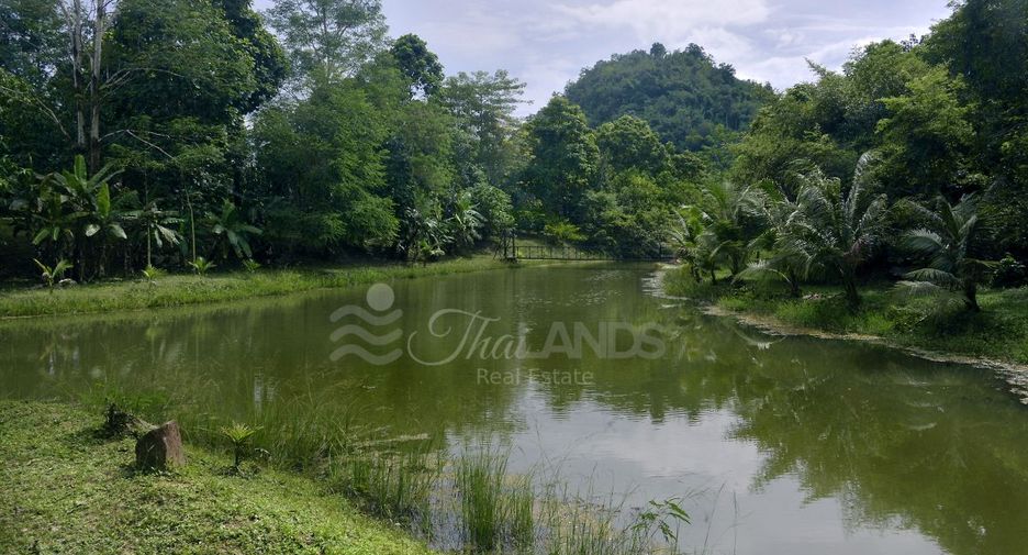 Продажа Участок в Thong Pha Phum, Канчанабури