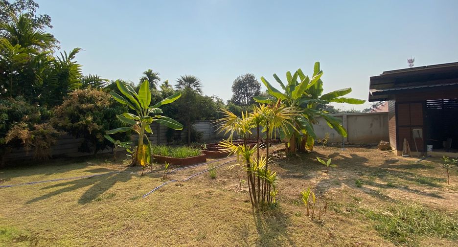 For rent and for sale 2 bedrooms house in San Sai, Chiang Mai