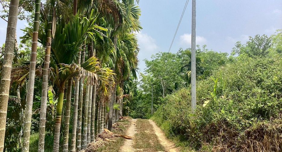 ขาย ที่ดิน ใน ตะกั่วทุ่ง, พังงา
