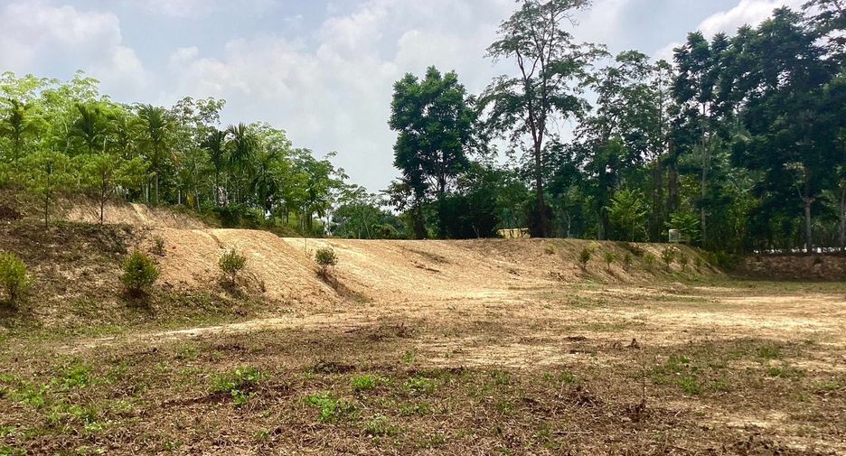 ขาย ที่ดิน ใน ตะกั่วทุ่ง, พังงา