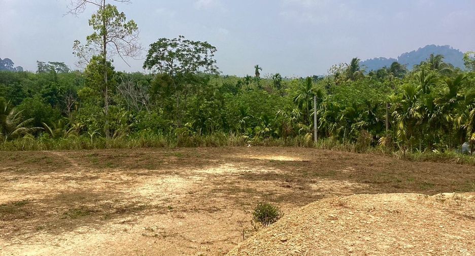 ขาย ที่ดิน ใน ตะกั่วทุ่ง, พังงา