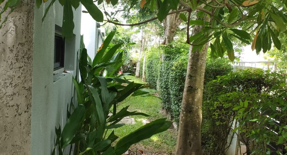 For rent 4 bedrooms villa in Kathu, Phuket