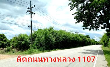 For sale land in Sam Ngao, Tak