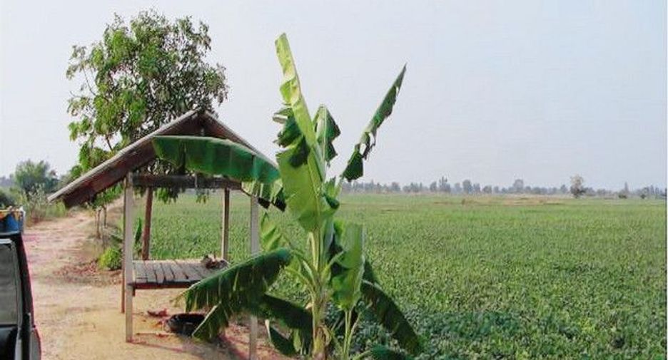 For sale land in Mueang Chai Nat, Chainat