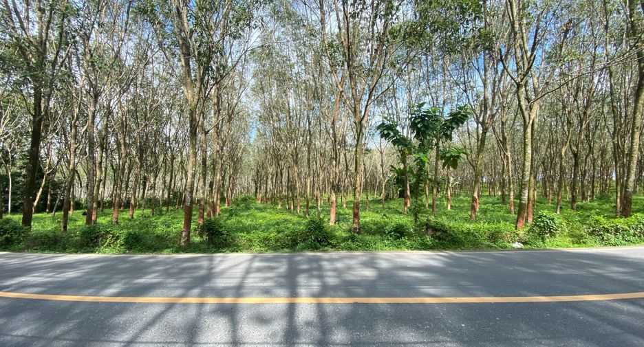 Grundstück zum Kauf in Thalang, Phuket