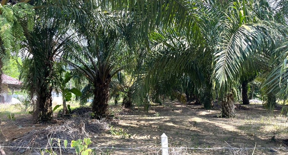 For sale land in Thai Mueang, Phang Nga