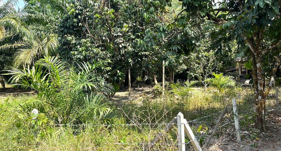 For sale land in Thai Mueang, Phang Nga