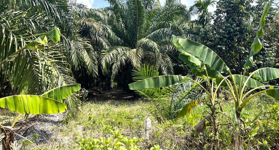 For sale land in Thai Mueang, Phang Nga
