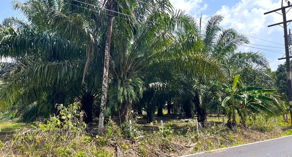For sale land in Thai Mueang, Phang Nga