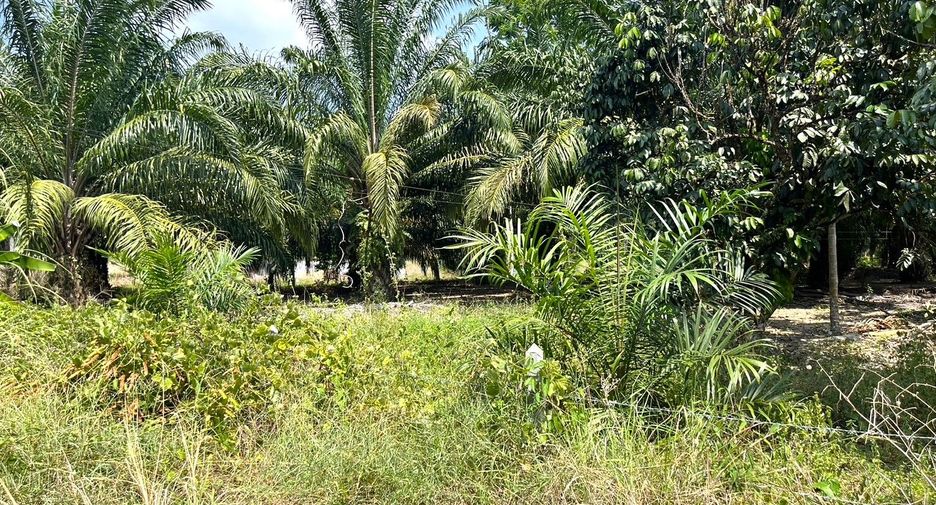For sale land in Thai Mueang, Phang Nga