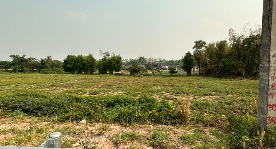 For sale land in Chiang Kham, Phayao