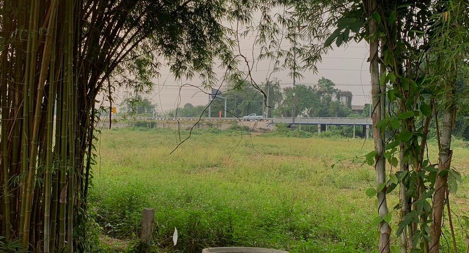 For sale land in Chiang Kham, Phayao