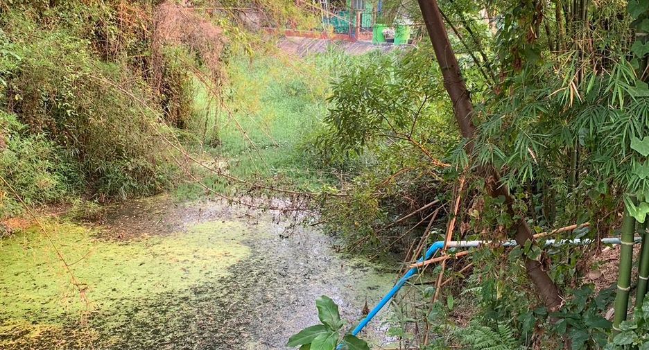 For sale land in Chiang Kham, Phayao