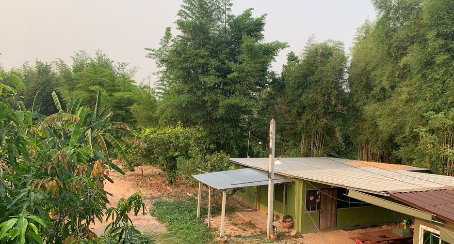 For sale land in Chiang Kham, Phayao